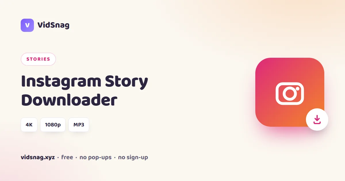 VidSnag, a free Instagram Story downloader for Windows